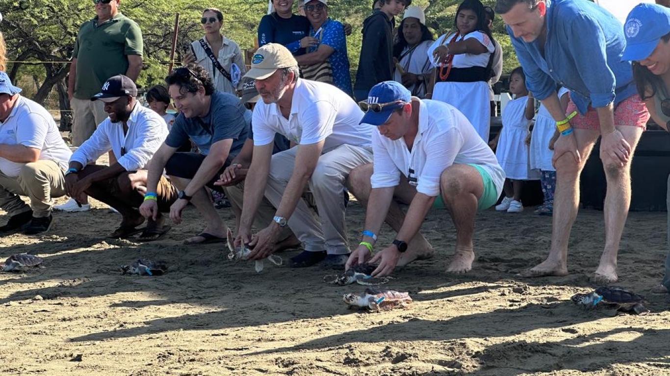 embajador, director de CORPAMAG e invitados soltando tortugas